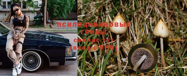 гашиш Арсеньев