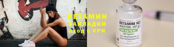 прущие грибы Аркадак