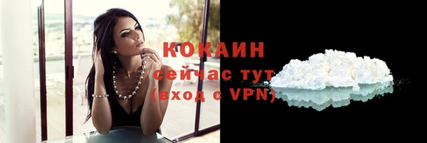 прущие грибы Аркадак