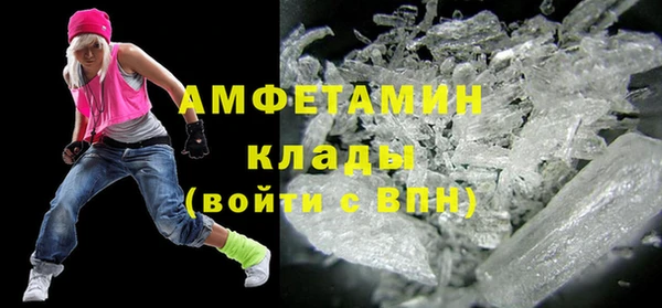 прущие грибы Аркадак